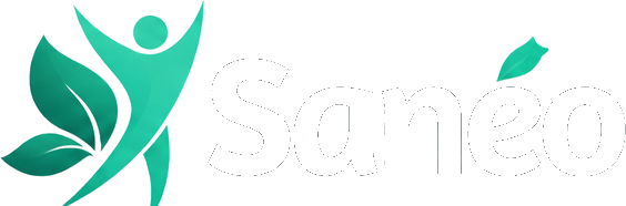 Saneo Maroc